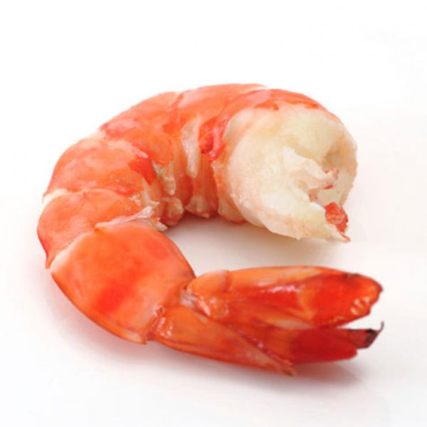 shrimp-facts-intro